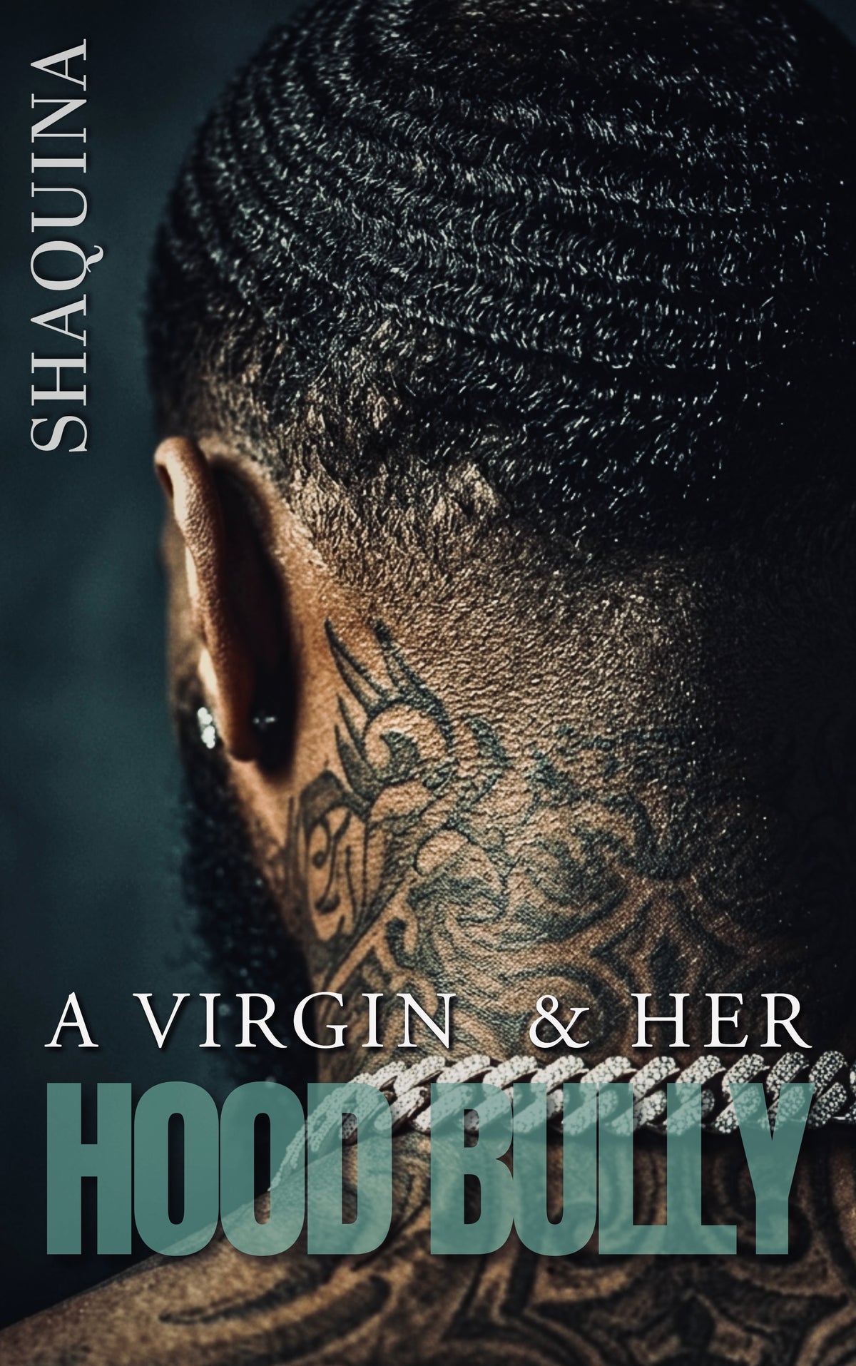 A Virgin & Her Hood Bully
